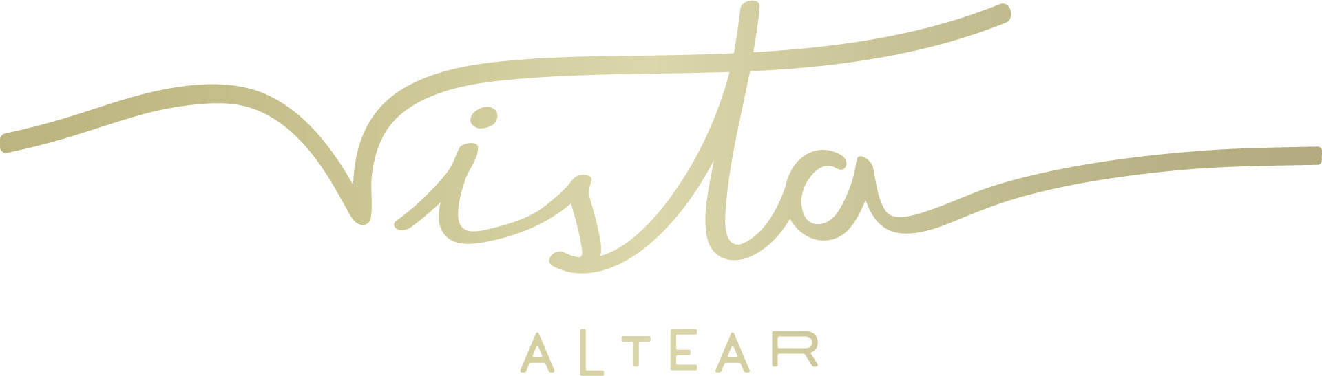 Asset 1